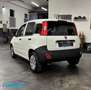 Fiat Panda 1.2 Van 2 posti *PREZZO+IVA* Bianco - thumbnail 5