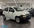 Fiat Panda 1.2 Van 2 posti *PREZZO+IVA* Bianco - thumbnail 9