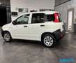 Fiat Panda 1.2 Van 2 posti *PREZZO+IVA* Bianco - thumbnail 4