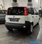 Fiat Panda 1.2 Van 2 posti *PREZZO+IVA* Bianco - thumbnail 7