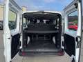 Renault Trafic L2 2.0 BLUE DCI 150CH S\u0026S ZEN 9PLACES Blanc - thumbnail 3