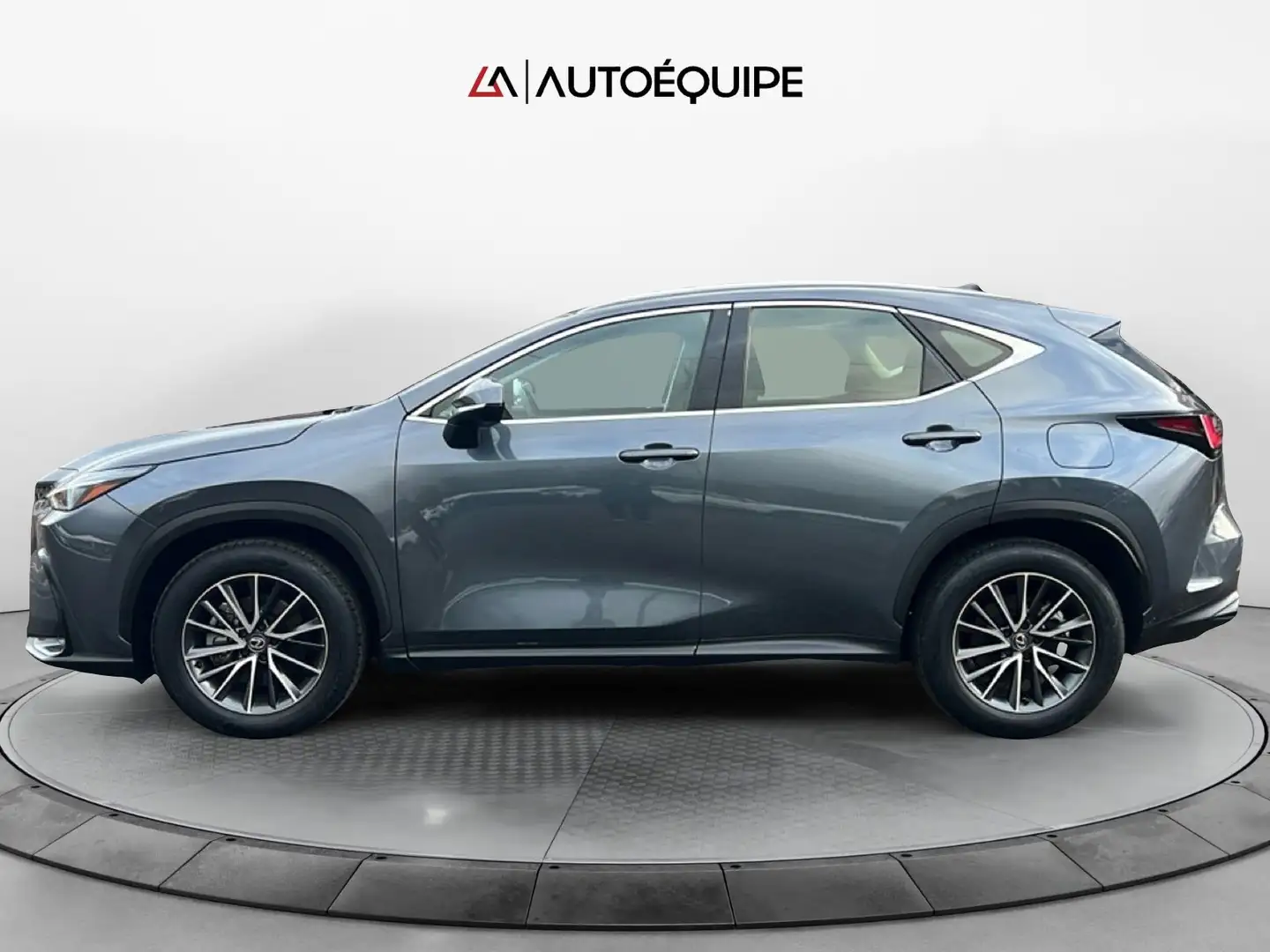 Lexus NX 350h II 2022 350h 2.5 Business 2wd 244cv e-cvt Gris - 2