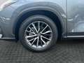 Lexus NX 350h II 2022 350h 2.5 Business 2wd 244cv e-cvt Gris - thumbnail 9