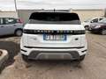 Land Rover Range Rover Evoque Range Rover Evoque II 2019 2.0d i4 mhev Bianco - thumbnail 3