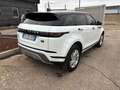Land Rover Range Rover Evoque Range Rover Evoque II 2019 2.0d i4 mhev Bianco - thumbnail 4