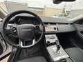 Land Rover Range Rover Evoque Range Rover Evoque II 2019 2.0d i4 mhev Bianco - thumbnail 6