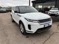 Land Rover Range Rover Evoque Range Rover Evoque II 2019 2.0d i4 mhev Bianco - thumbnail 2