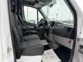 Mercedes-Benz Sprinter II Kasten 310/311/313/314/316 CDI/AHK Weiß - thumbnail 12