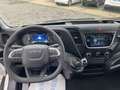 Iveco Daily Daily 35C18H quad.Tor 3.750  PLM-RG Cabinato con Bianco - thumbnail 9