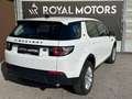 Land Rover Discovery Sport FWD Blanc - thumbnail 9