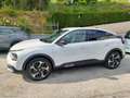 Citroen C4 PureTech 130 S&S Max Bianco - thumbnail 8