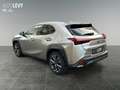 Lexus UX 300e UX 300h F Sport Design 2xKlima ACC AUT LED Argintiu - thumbnail 4