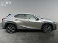 Lexus UX 250h 300h F Sport Design 2xKlima ACC AUT LED Silber - thumbnail 7