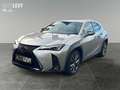 Lexus UX 300e UX 300h F Sport Design 2xKlima ACC AUT LED Argintiu - thumbnail 2