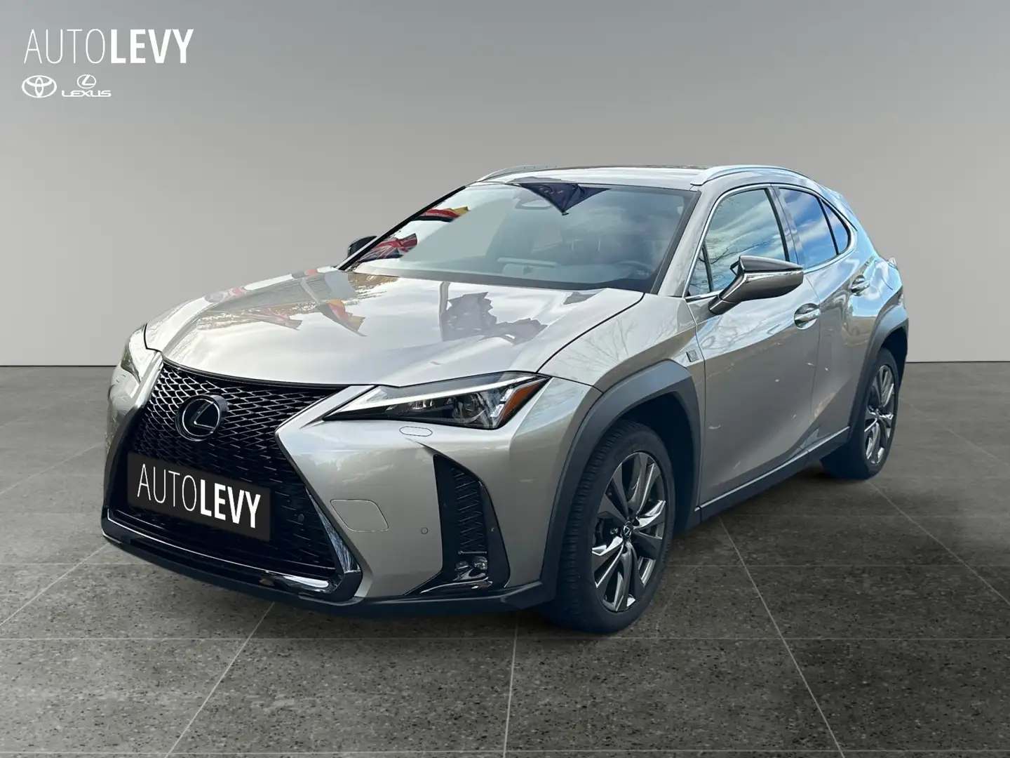 Lexus UX 300e UX 300h F Sport Design 2xKlima ACC AUT LED Silber - 2