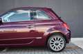 Fiat 500 1.2i - Panodak - Camera Rosso - thumbnail 8