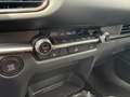 Mazda CX-30 G140 Homura Automatik Grau - thumbnail 12