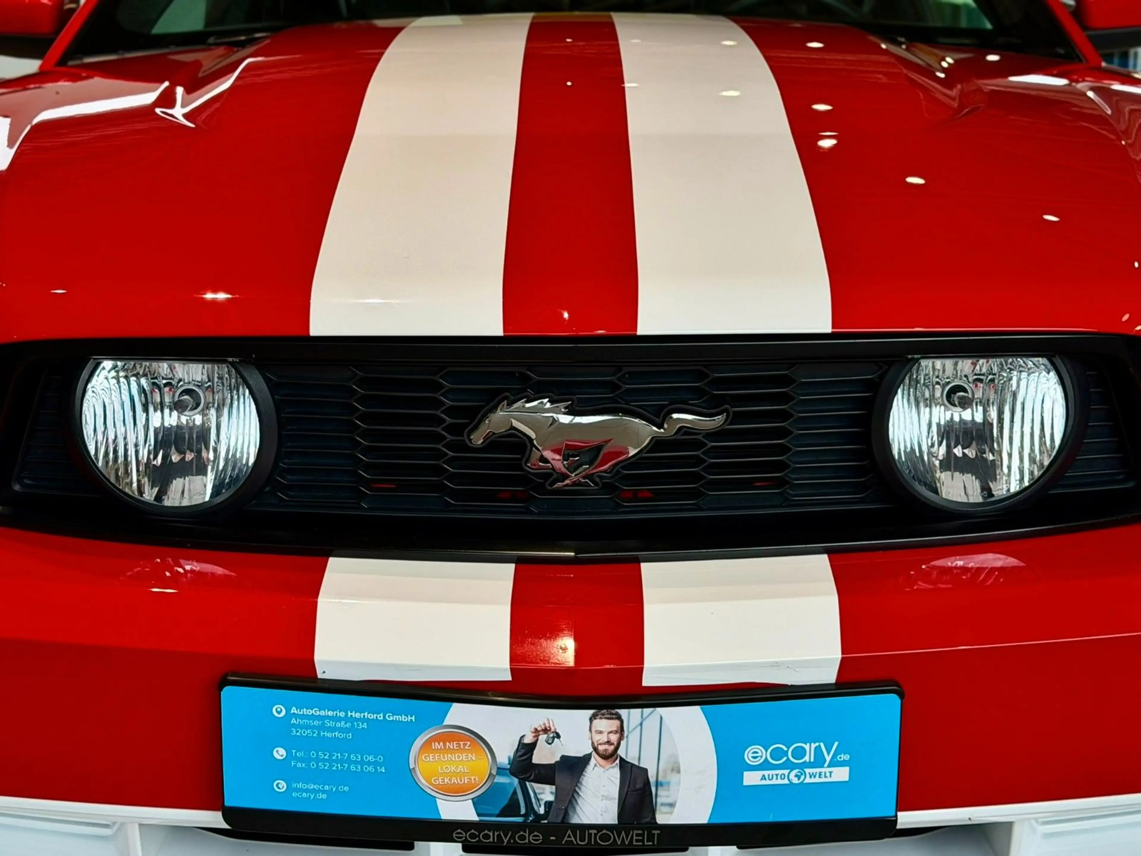Ford Mustang GT*Coyote*SHZ*RFK*Tempo* — photo 12