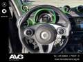 smart forTwo smart fortwo ed greenflash BRABUS Cool & Audio Schwarz - thumbnail 10