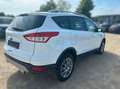Ford Kuga Titanium,Navi,Pano,Teilleder Weiß - thumbnail 3