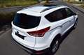 Ford Kuga Titanium,Navi,Pano,Teilleder Weiß - thumbnail 5