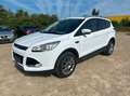 Ford Kuga Titanium,Navi,Pano,Teilleder Weiß - thumbnail 1