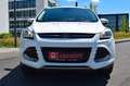 Ford Kuga Titanium,Navi,Pano,Teilleder Weiß - thumbnail 2