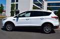 Ford Kuga Titanium,Navi,Pano,Teilleder Weiß - thumbnail 6