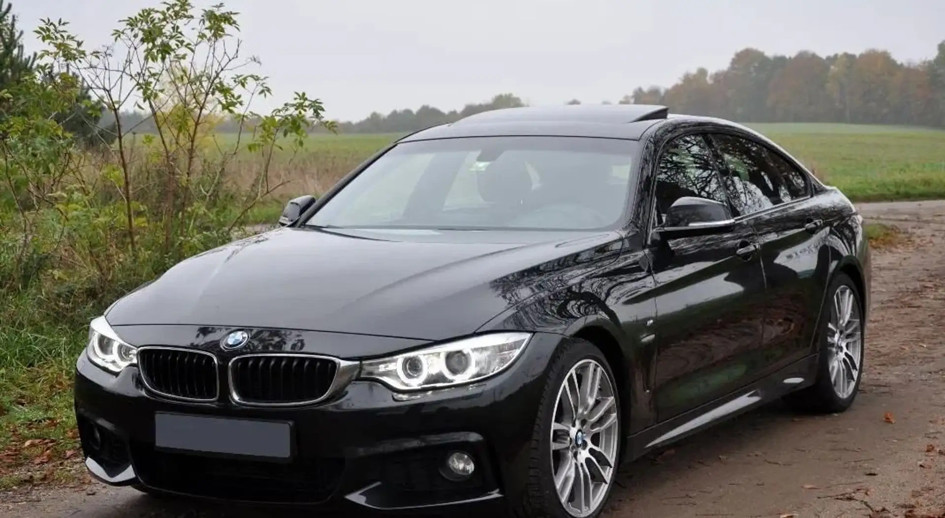 BMW 420 420i Gran Coupe Sport-Aut. - 1