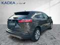 Ford Edge 2.0 EcoBlue Titanium ACC+LED+Winterp.+Kam. Gris - thumbnail 4