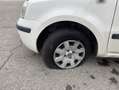 Fiat Panda Panda 1.3 Multijet 16V Blanco - thumbnail 9