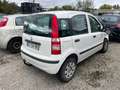 Fiat Panda Panda 1.3 Multijet 16V Weiß - thumbnail 3