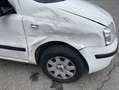 Fiat Panda Panda 1.3 Multijet 16V Blanco - thumbnail 14