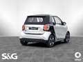 smart forTwo EQ passion Blanc - thumbnail 3
