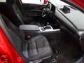 Mazda CX-30 e-SKY G MHEV 110 kW Exclus-line Plus Rojo - thumbnail 18