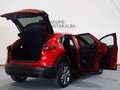 Mazda CX-30 e-SKY G MHEV 110 kW Exclus-line Plus Червоний - thumbnail 8