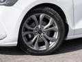 Ford Focus ST-Line X Aut. Matrix ACC Kamera WI-PKT SHZ LED Weiß - thumbnail 5