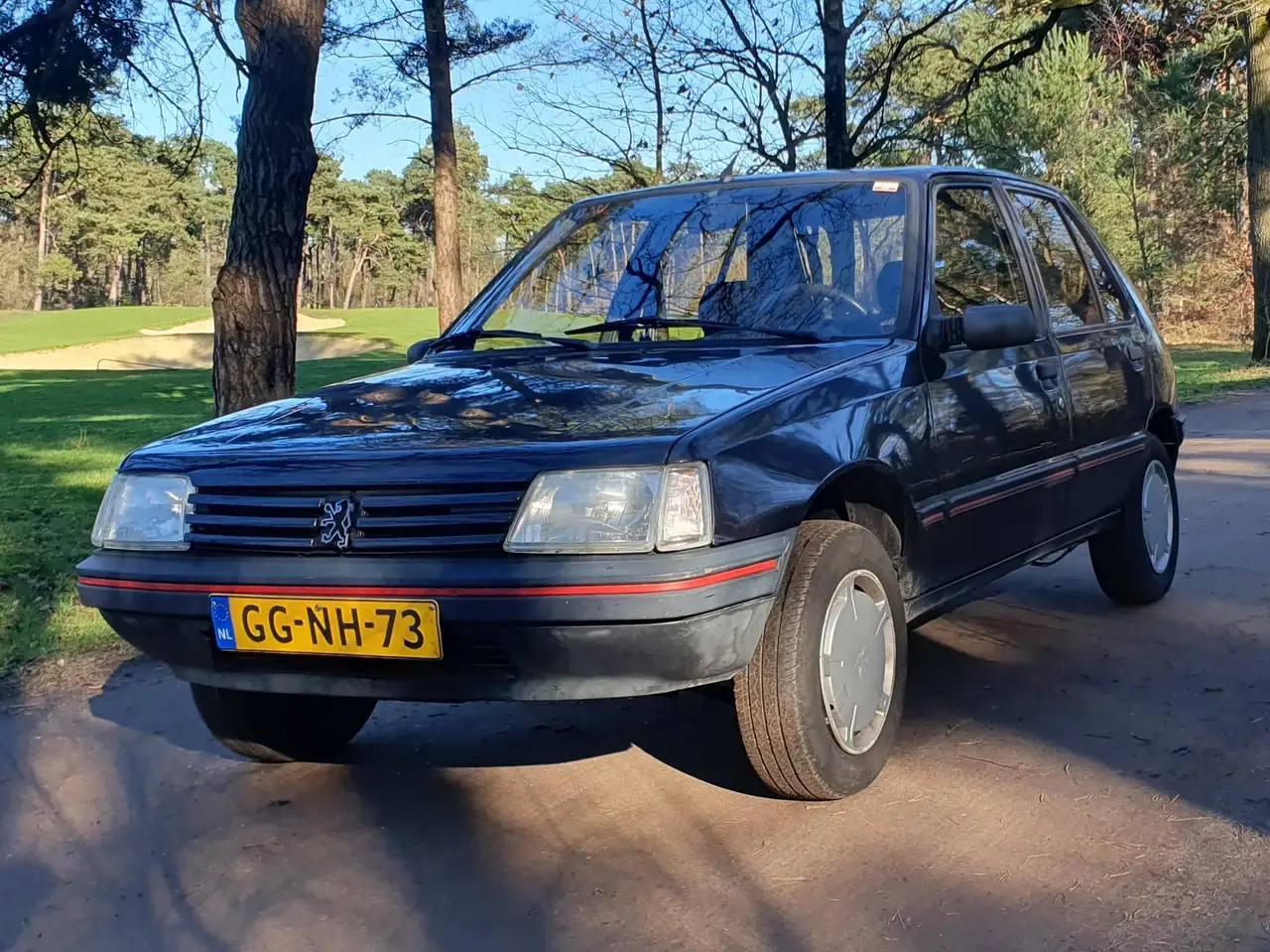 Peugeot 205 1.1 Accent, foto 1