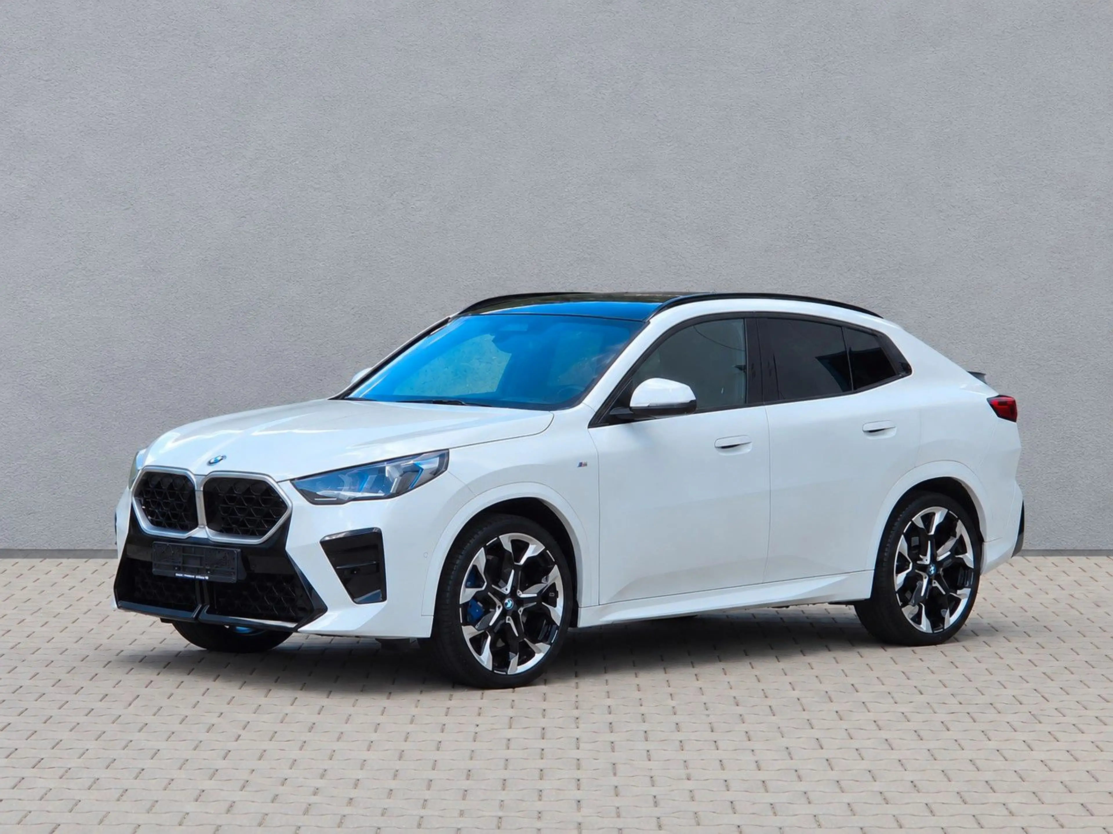 BMW X2 20d xDrive M SPORT PANO ACC AHK H&K HUD 21"LM