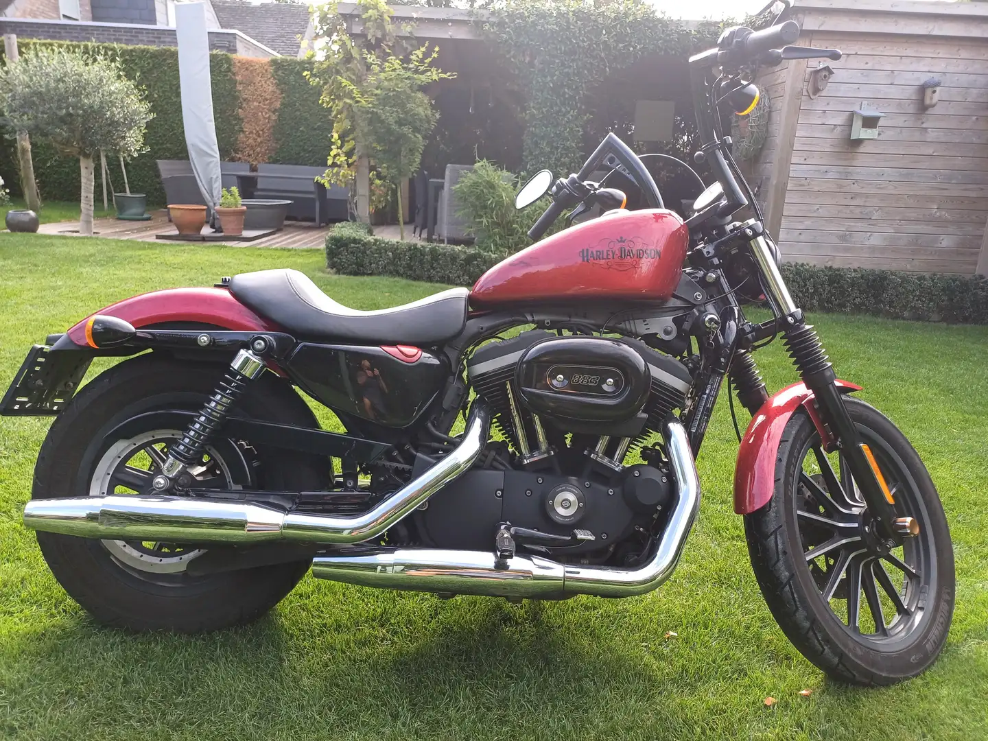 Harley-Davidson Iron 883 Sportster Červená - 1