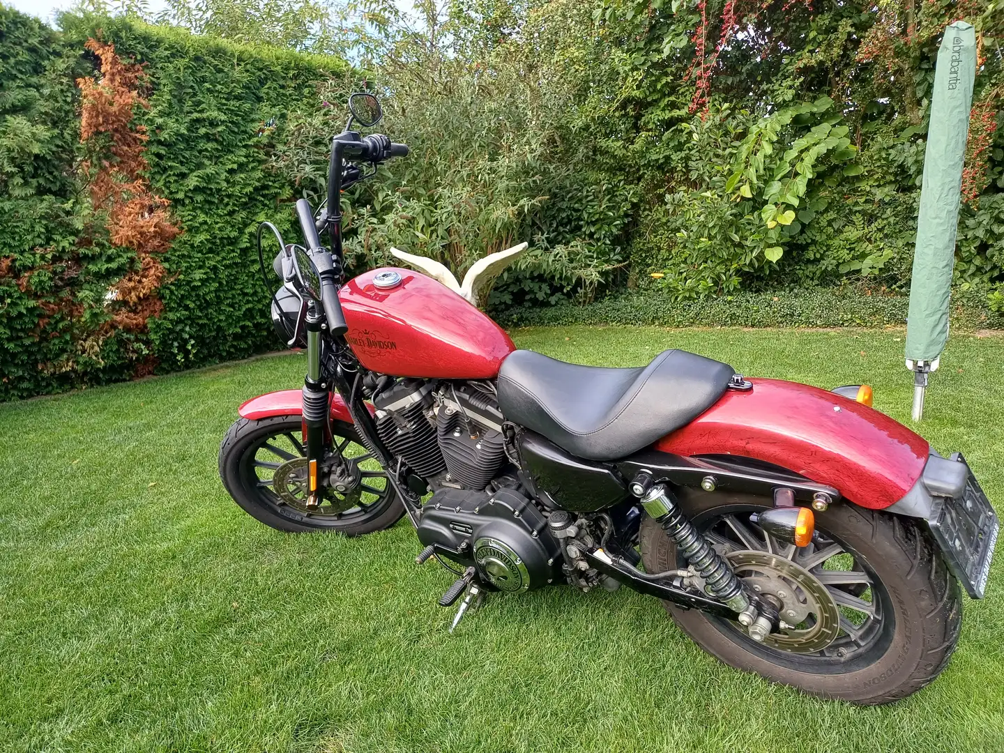 Harley-Davidson Iron 883 Sportster Červená - 2