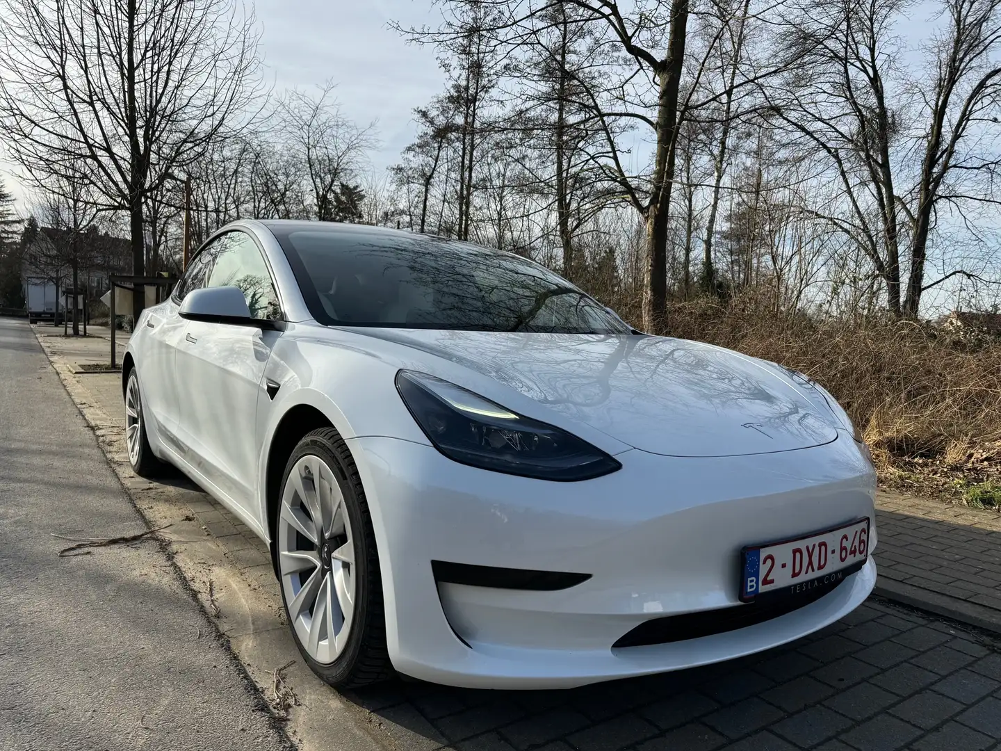 Tesla Model 3 60 kWh Standard Plus Wit - 1