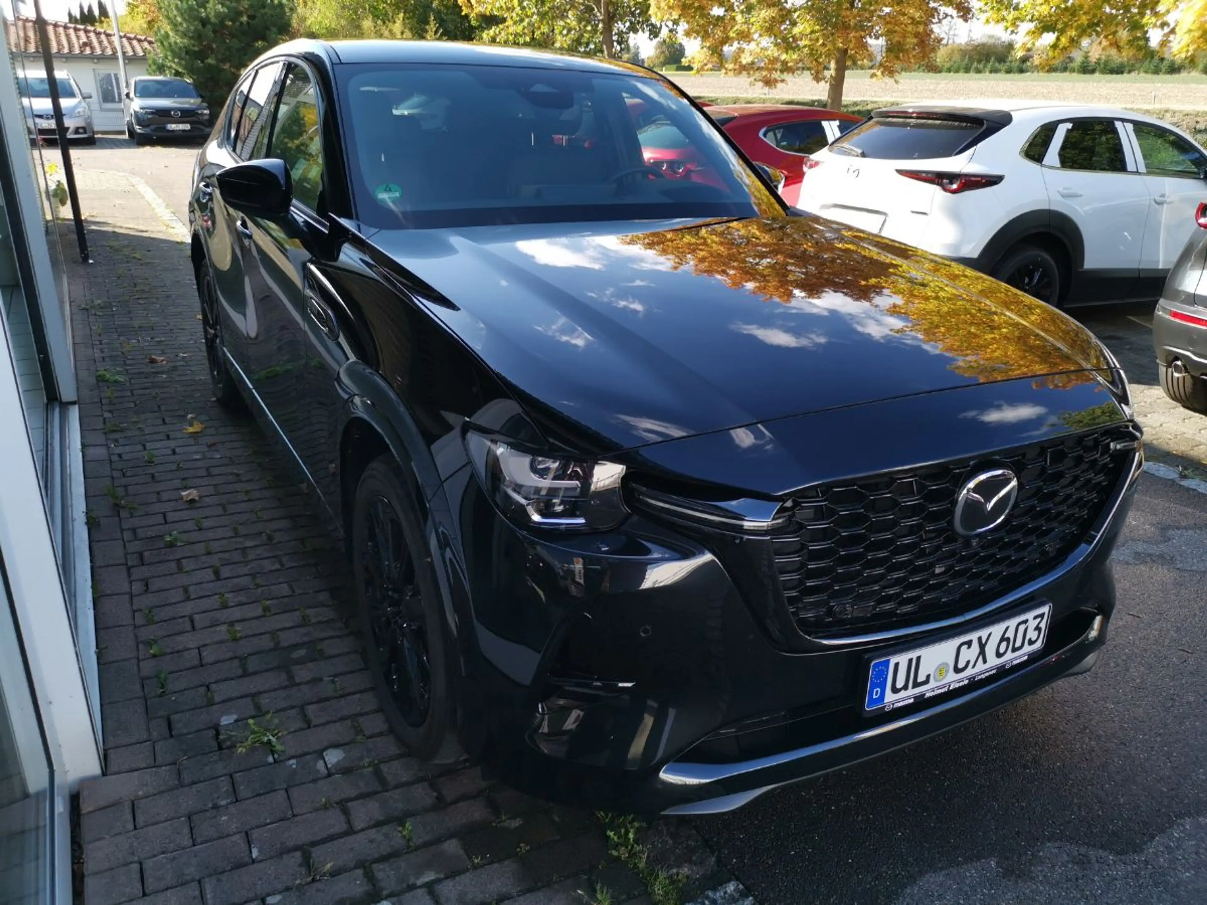 Mazda CX-60 3.3L e-SKYACTIV D 254ps — photo 5