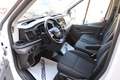 Ford Transit Pritsche DoKa 2,0 EcoBlue L2H1 350 Trend Weiß - thumbnail 6