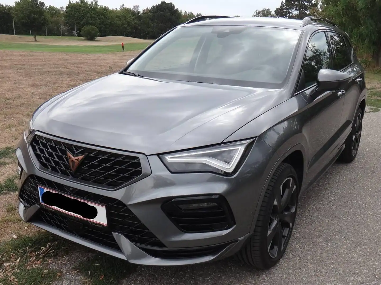 CUPRA Ateca Ateca 2,0 TSI 4Drive DSG 190 Grau - 1