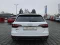Audi S4 Avant 3.0 TDI quattro B&O Matrix Pano KLIMA NAVI Weiß - thumbnail 6
