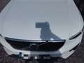 Volvo XC40 2.0 B4 G Core Auto Blanco - thumbnail 18
