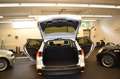 Ford Focus Turnier TITANIUM Bianco - thumbnail 10