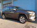 Toyota RAV 4 2.5 HV (222CV) E-CVT AWD-i Business Gris - thumbnail 6