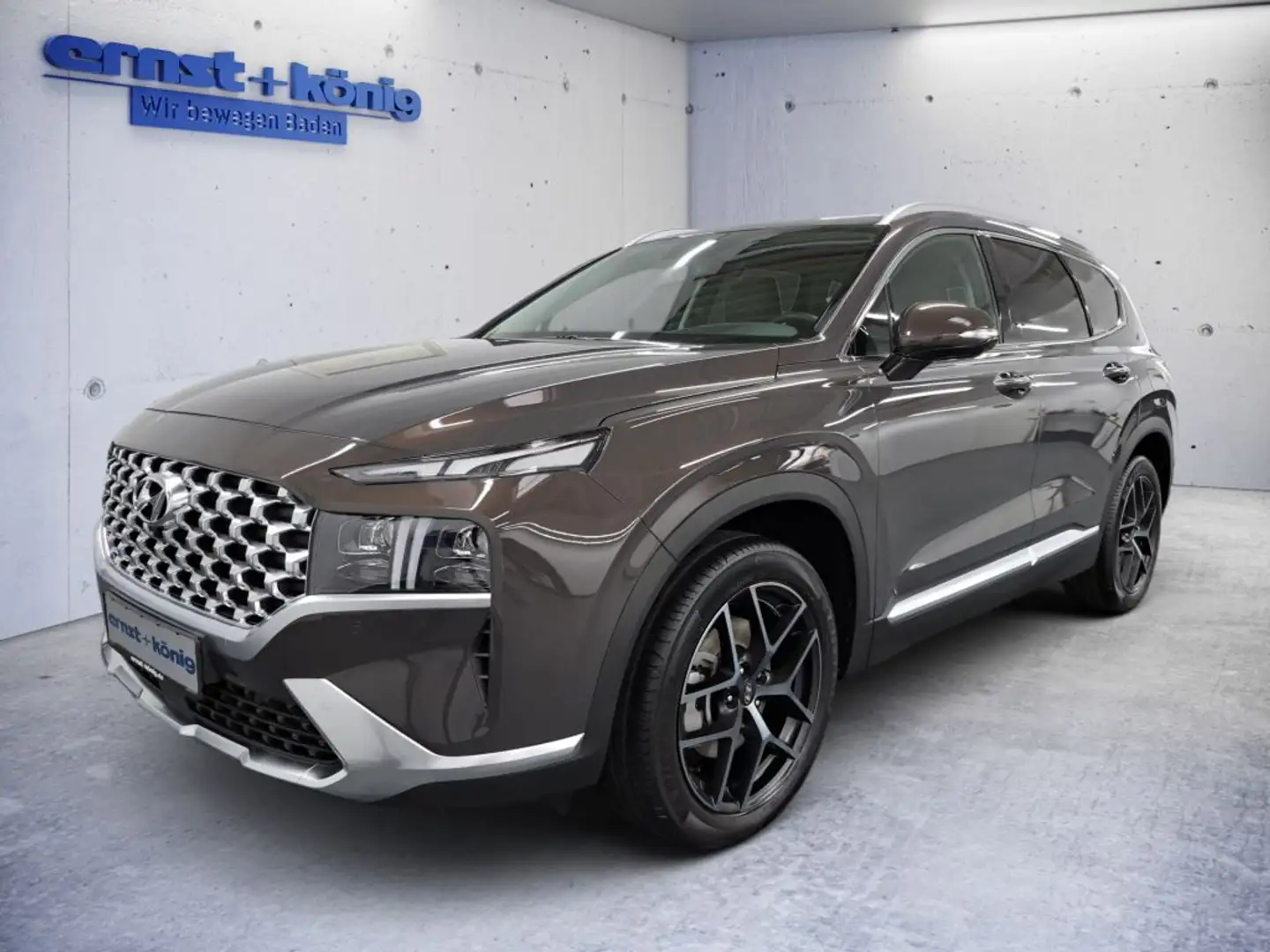 Hyundai SANTA FE 1.6 HEV 4WD Prime 360° NAVI SHZ LED Braun - 1